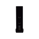 Technics SB-R1 Speakers Rear 2