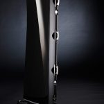 Raidho D-3.1 back