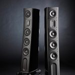 Raidho D-3.1 dbl