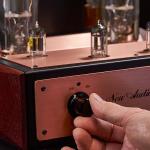 New Audio Frontiers Ultimate 211 SE knob
