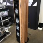 Ayon Black Falcon Right