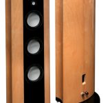 Ayon BlackHeron Birch Ft_Bk