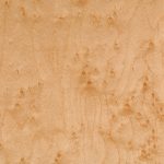 Ayon Speaker Vaneer Birds Eye Maple-HG Ayon Speaker Vaneer Birds Eye Maple-HG