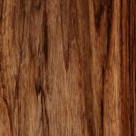 Ayon Speaker Vaneer Mango-HG Ayon Speaker Vaneer Mango-HG