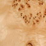 Ayon Speaker Vaneer Poplar Burl-HG Ayon Speaker Vaneer Poplar Burl-HG