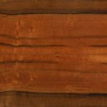 Ayon Speaker Vaneer Tineo-HG Ayon Speaker Vaneer Tineo-HG