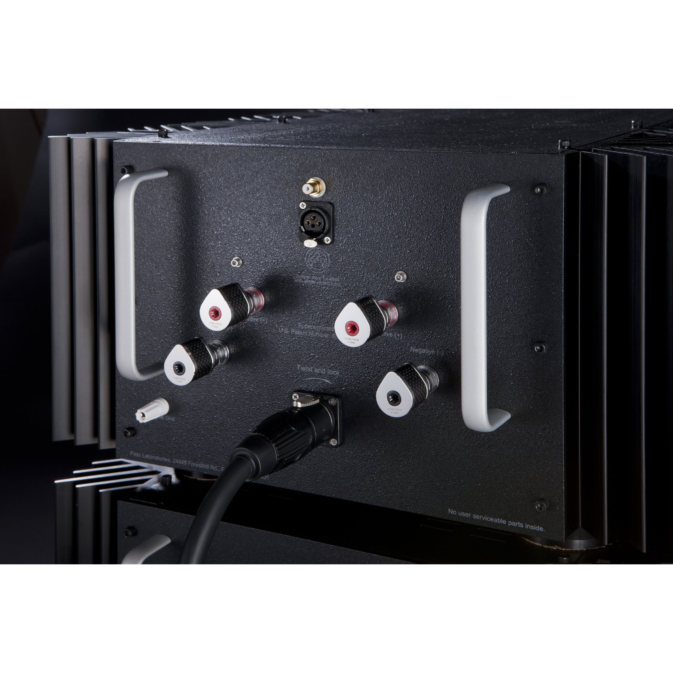 Pass Labs XS300-Rear