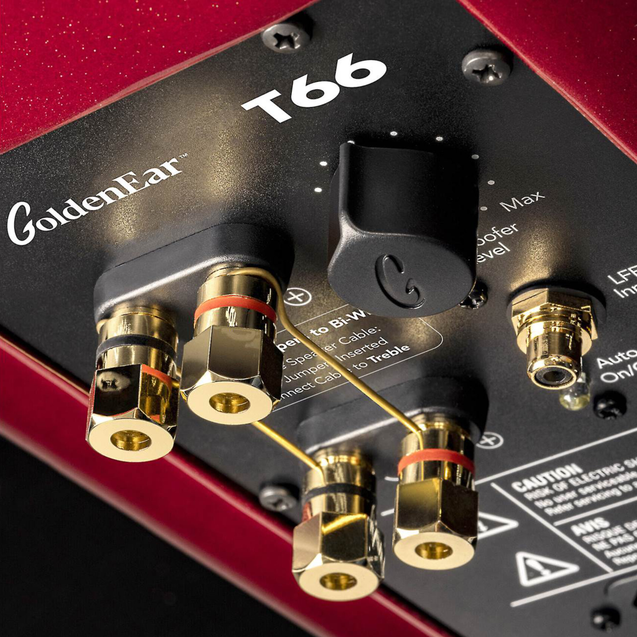 GoldenEar T66 Tower Loudspeaker - Binding Posts