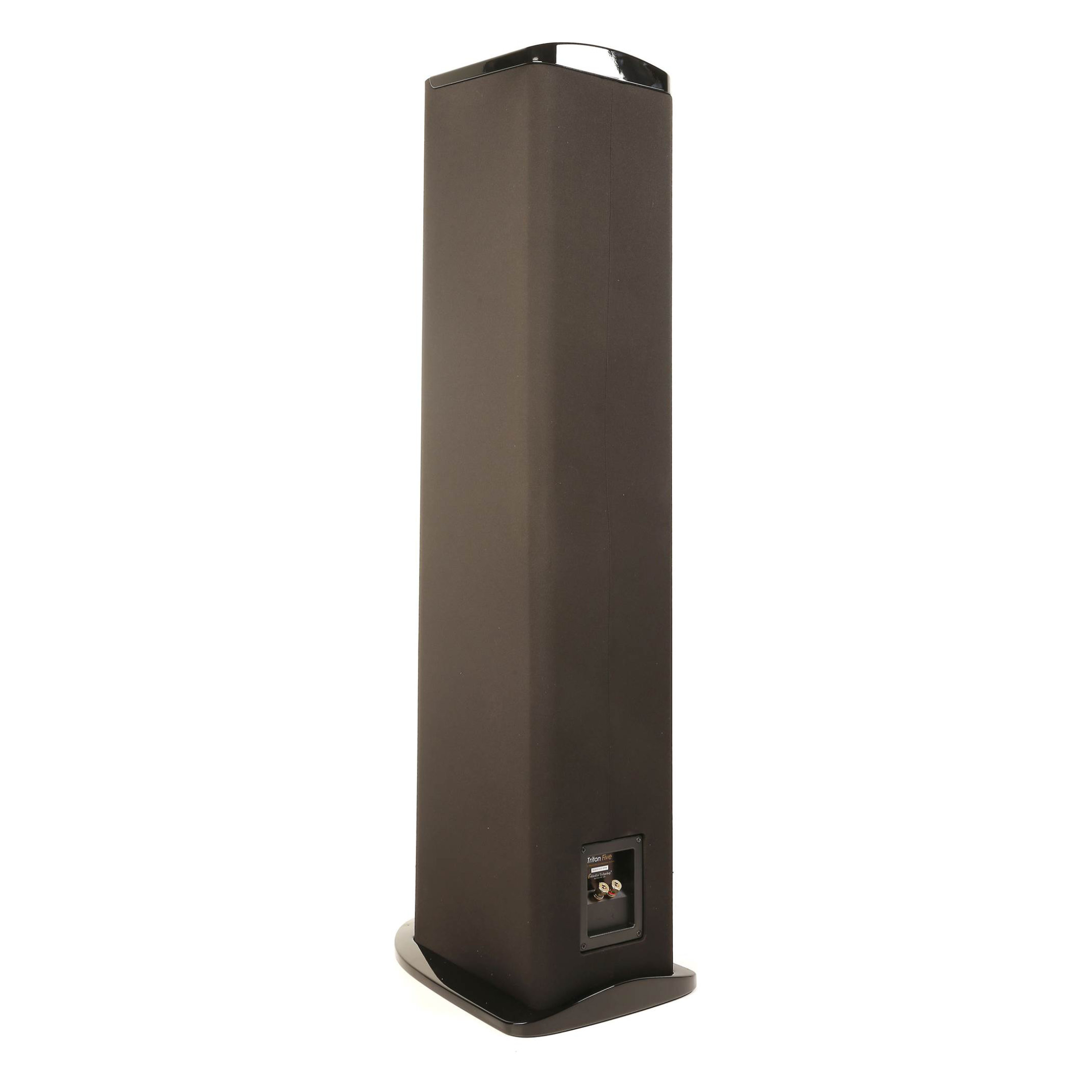 GoldenEar Triton T5 Tower Loudspeaker - Rear Angle GoldenEar Triton T5 Tower Loudspeaker - Rear Angle