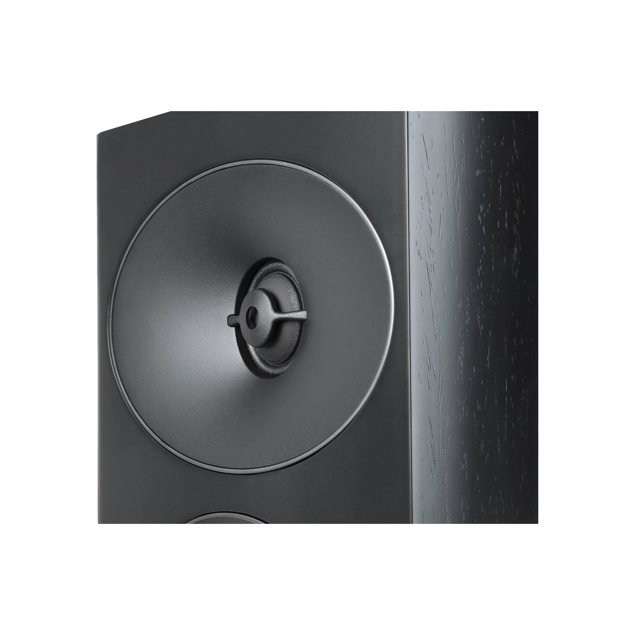 Revel Performa4 F345 - Tweeter